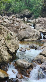 A tranquil mountain stream flows through rocks in Sa Pa, Vietnam, offering a peaceful nature scene.