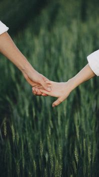Close-up of a couple holding hands in a lush green field in Maringá, Brazil.