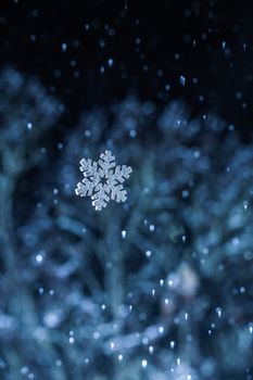 Detailed snowflake captured mid-fall in a quiet winter night. Perfect texture and serene atmosphere.