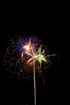 Colorful fireworks display exploding in a clear night sky, capturing a moment of celebration.