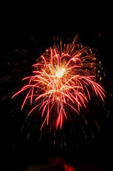 Stunning red fireworks burst brightly against the dark night sky, celebrating a festive occasion.