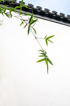 Serene bamboo branches against classic Chinese roof, symbolizing tranquility and elegance.