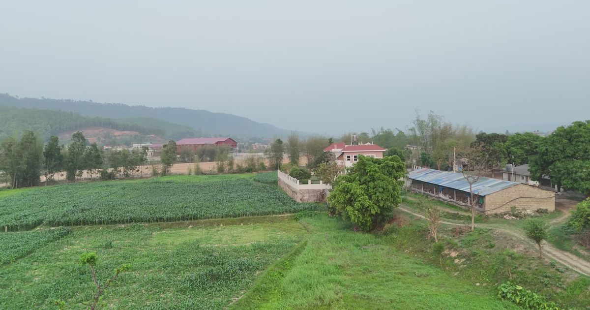 绿植素材 - 绿植 /  Bhupal Shrestha