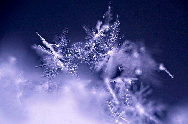 雪花素材 - 雪花 /  冬天 /  季节 /  水晶 /  冰冷的 /  冻结