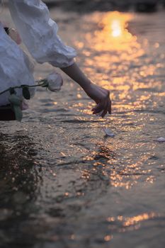A serene moment capturing a hand gently placing rose petals on a shimmering river at sunset.
