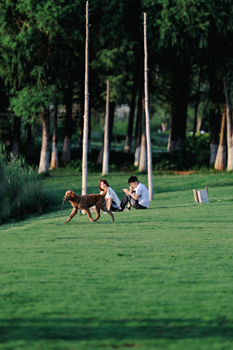 Man and woman relaxing in park while dog plays on grass during summer afternoon.