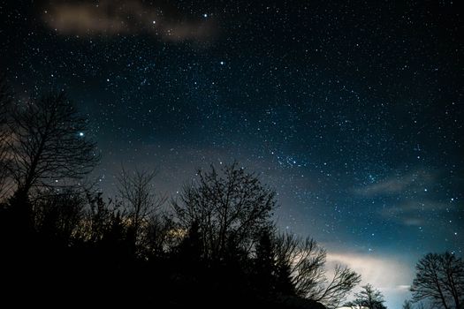 A breathtaking view of a starry night sky with tree silhouettes in the foreground.