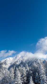 Majestic snow-covered mountains beneath a clear blue sky in Japan, showcasing natural beauty and winter wonder.