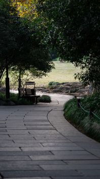 Curved stone pathway through a quiet park with benches and greenery.