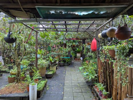 Explore a vibrant courtyard filled with diverse plants and colorful pots in an urban garden setting.