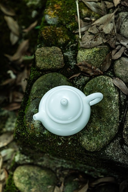 茶具素材 - 白色瓷器 /  茶壶 /  陶瓷茶具 /  中国茶具 /  茶文化 /  极简风格 /  精细手工艺 /  天然石材 /  绿色树叶 /  冬季 /  波状叶子 /  花园装饰 /  乡村风格 /  传统工艺 /  户外环境 