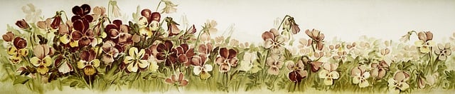 古画素材 - 横幅 /  优质的 /  花朵 /  花的 /  花艺设计 /  花卉画 /  古画 /  植物 /  开花 /  盛开 /  复古的 /  春天 /  自然 /  植物学 /  花瓣 /  花园 /  乡村