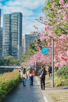 People strolling beside cherry blossoms in an urban park setting during spring.