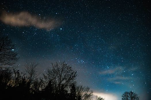 A captivating starry night sky visible above silhouetted trees, showcasing a serene and cosmic view.