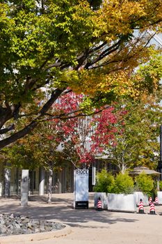 Beautiful autumn scene in a bustling city with vibrant trees and modern architecture.